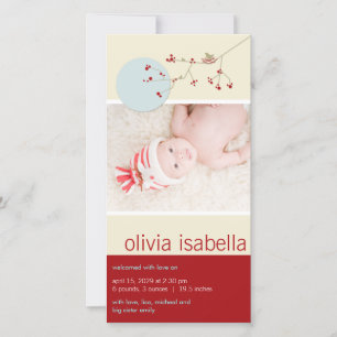 Bird & Family Baby Girl Aankondiging geboorte