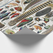 Bird Feather Wildlife Antique Feathers Art Nouveau Cadeaupapier (Hoek)