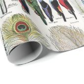Bird Feather Wildlife Antique Feathers Art Nouveau Cadeaupapier (Rol Hoek)