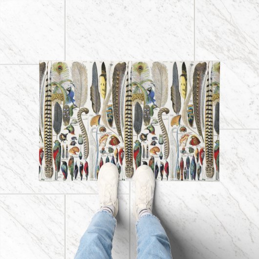 Bird Feather Wildlife Antique Feathers Art Nouveau Deurmat (Binnen)