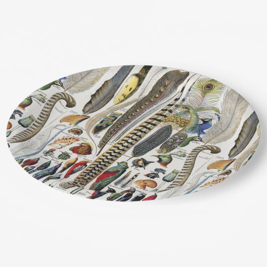 Bird Feather Wildlife Antique Feathers Art Nouveau Papieren Bordje (Gekanteld)