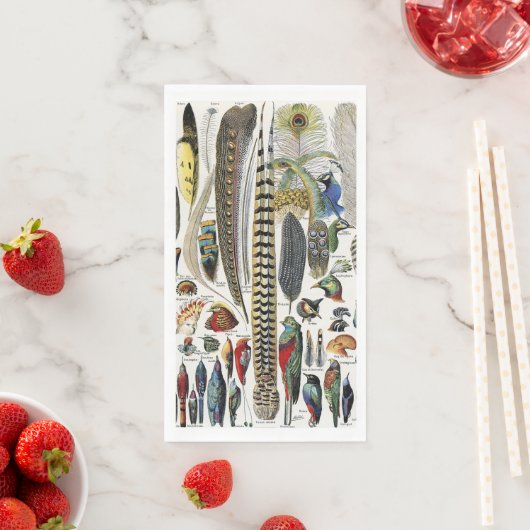 Bird Feather Wildlife Antique Feathers Art Nouveau Servet (Insitu)