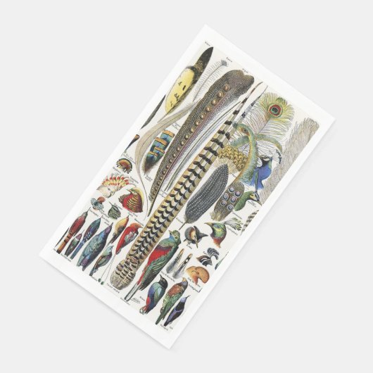 Bird Feather Wildlife Antique Feathers Art Nouveau Servet (Hoek)