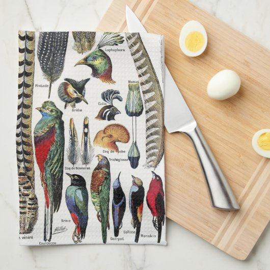 Bird Feather Wildlife Antique Feathers Art Nouveau Theedoek (Quarter Fold)