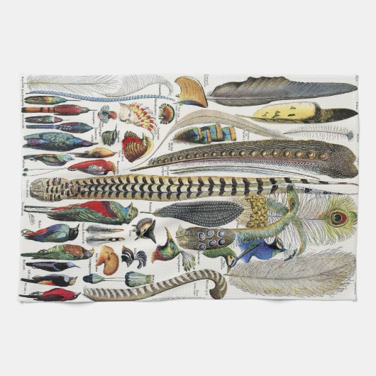 Bird Feather Wildlife Antique Feathers Art Nouveau Theedoek (Horizontaal)