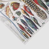 Bird Feather Wildlife Antique Feathers Art Nouveau Tissuepapier (Detail)