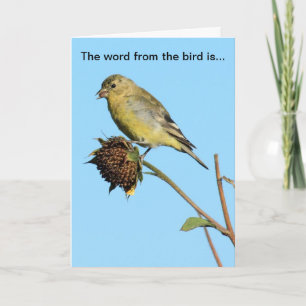 Bird (Finch) op gedroogde zonnebloem Verjaardag Ka Kaart