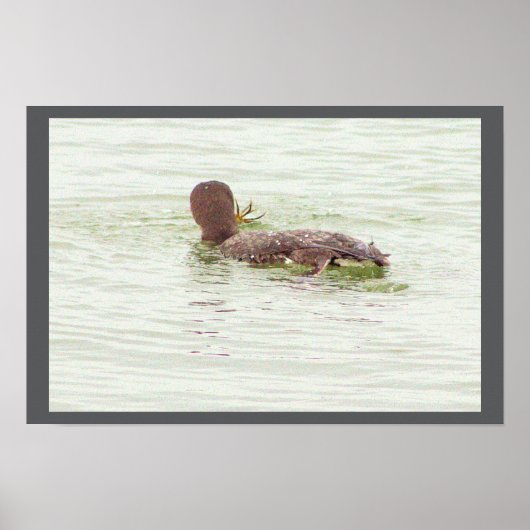 Bird Fishing in Ocean Poster (Voorkant)
