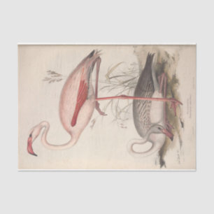 Bird Flamingo Ephemera Decoupage Tissuepapier