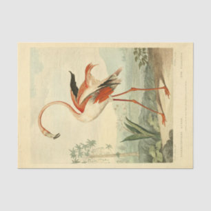 Bird Flamingo Ephemera Decoupage Tissuepapier