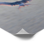 Bird Flying Foto Poster (Hoek)
