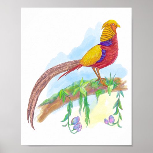 Bird Golden Pheasant Poster (Voorkant)