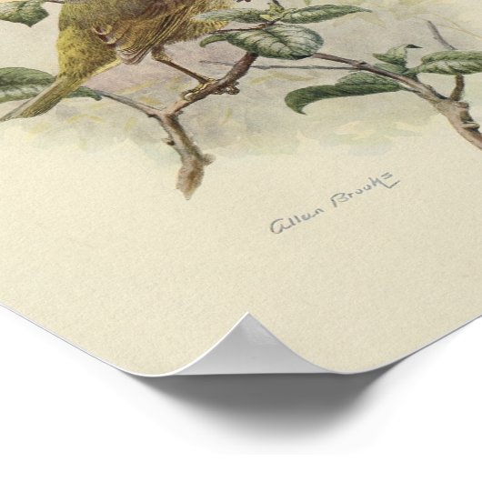  Bird Green Brown Print (Hoek)