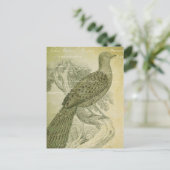Bird Green Feathers Peacock Collage Briefkaart (Staand voorkant)