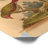  Bird Green Red Print (Hoek)