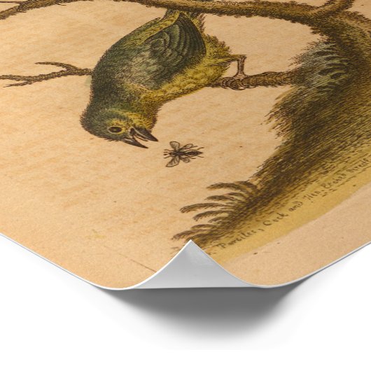  Bird Green Red Print (Hoek)