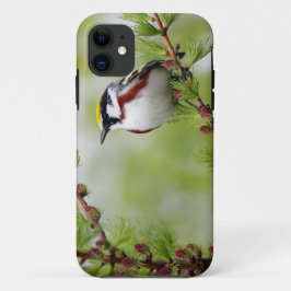Bird grey_iphone iPhone 11 hoesje