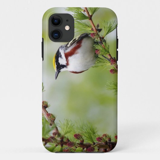 Bird grey_iphone Case-Mate iPhone case (Achterkant)