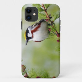 Bird grey_iphone iPhone 11 hoesje