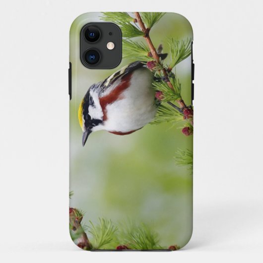 Bird grey_iphone Case-Mate iPhone case (Achterkant)