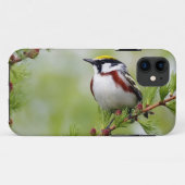 Bird grey_iphone Case-Mate iPhone case (Achterkant (horizontaal))