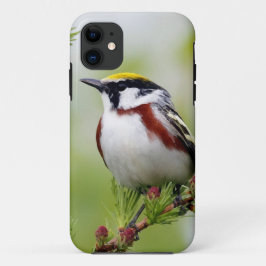 Bird grey_iphone Case-Mate iPhone case
