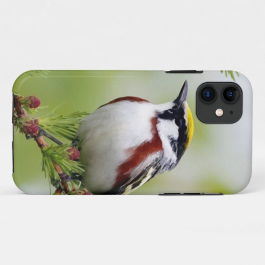 Bird grey_iphone Case-Mate iPhone case (Achterkant (horizontaal))