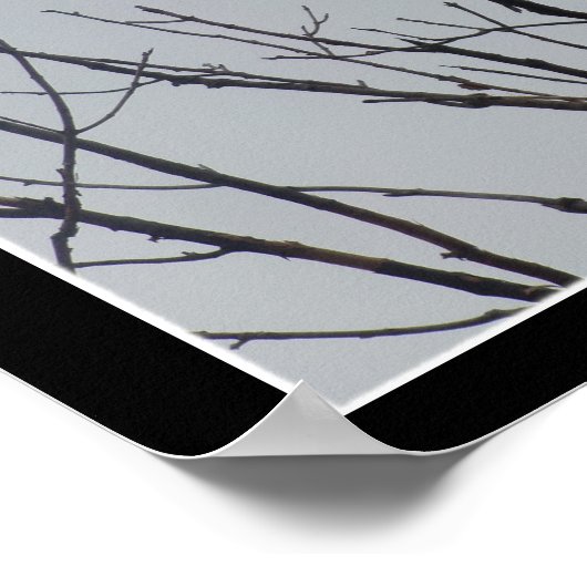 Bird in a Bare Tree Poster (Hoek)