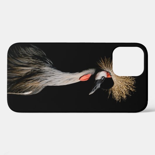 BIRD IN BRAZILIË Case-Mate iPhone CASE (Achterkant (horizontaal))