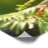 Bird in Jade Poster (Hoek)