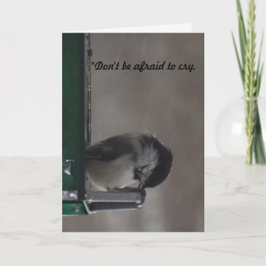 Bird in Rain Sympathy Card Kaart (Voorkant)