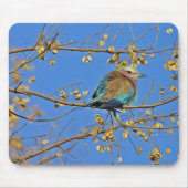 Bird in Tree and Blue Sky Photo Muismat (Voorkant)