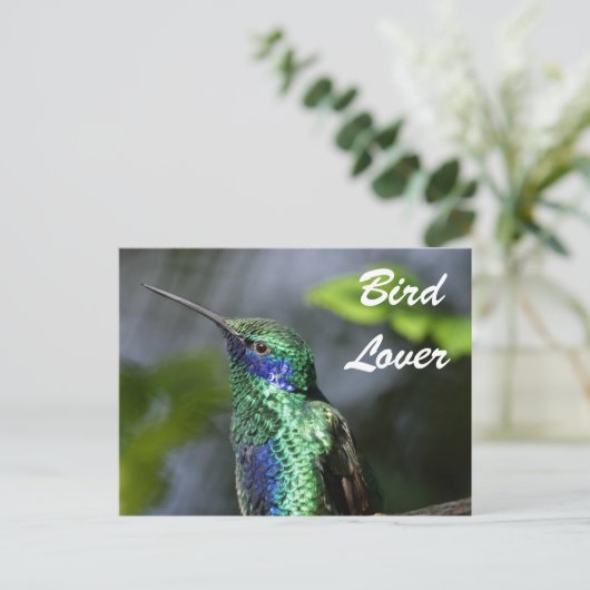 Bird Lover Briefkaart (Staand voorkant)
