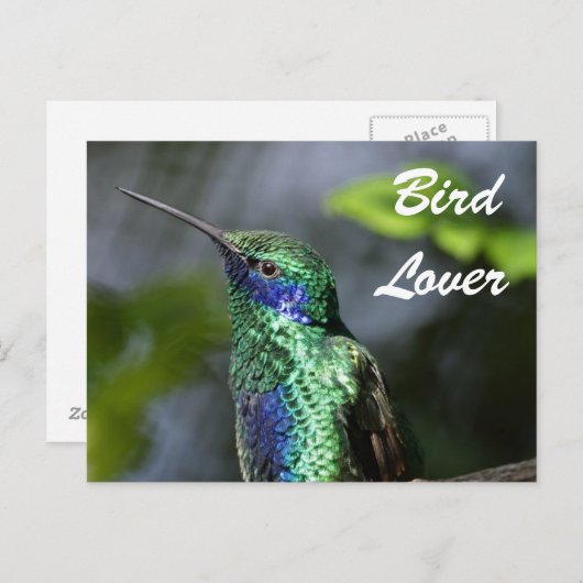 Bird Lover Briefkaart (Voorkant / Achterkant)