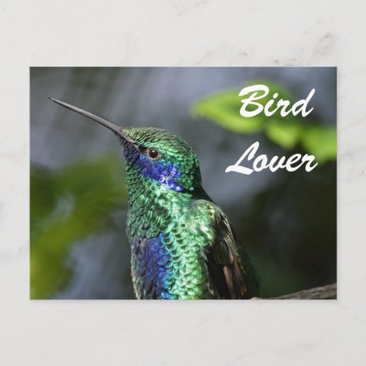 Bird Lover Briefkaart (Voorkant)