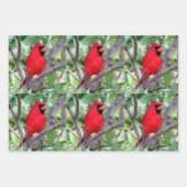Bird Lover's - 3 Design - Alle Gelegenheden Inpakpapier Vel (Voorkant)
