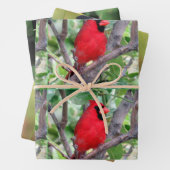 Bird Lover's - 3 Design - Alle Gelegenheden Inpakpapier Vel (In situ)