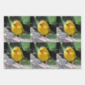 Bird Lover's - 3 Design - Alle Gelegenheden Inpakpapier Vel (Voorkant 3)