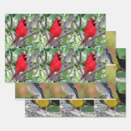 Bird Lover's - 3 Design - Alle Gelegenheden Inpakpapier Vel