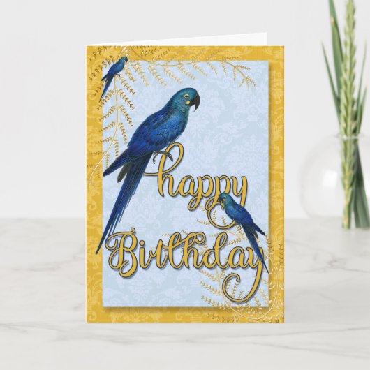 Bird Lover's Birthday  Macaw Parrots Kaart (Voorkant)