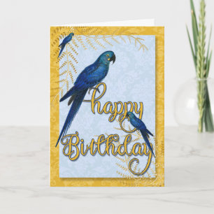 Bird Lover's Birthday  Macaw Parrots Kaart