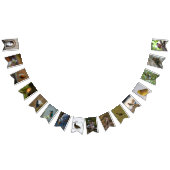Bird Lovers Bunting Vlaggetjes (Alle)