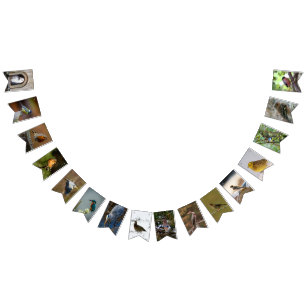Bird Lovers Bunting Vlaggetjes