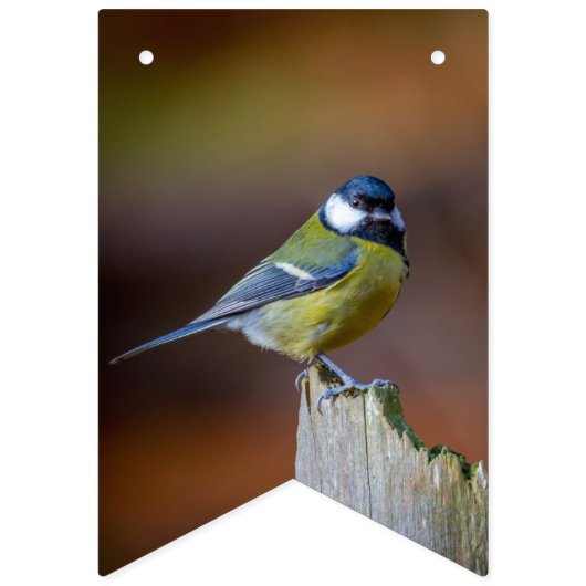 Bird Lovers Bunting Vlaggetjes (Tweede vlag)