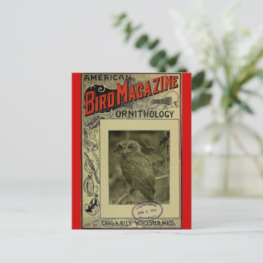 Bird Magazine jun 8 1903 Briefkaart (Staand voorkant)