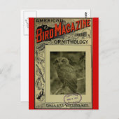 Bird Magazine jun 8 1903 Briefkaart (Voorkant / Achterkant)