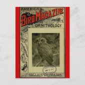 Bird Magazine jun 8 1903 Briefkaart (Voorkant)