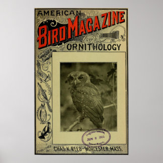 Bird Magazine jun 8 1903 Poster