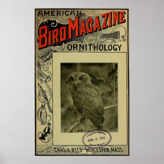 Bird Magazine jun 8 1903 Poster (Voorkant)