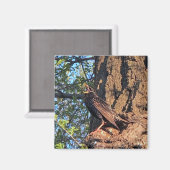 Bird Magnet (Voorkant / Achterkant)